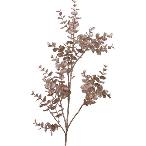 Fleur de Noël champenoise