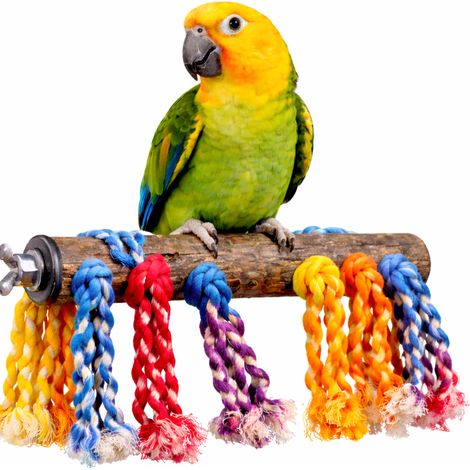 Perchoir Cactus avec Jouets II - Repos et divertissement pour grands perroquets (1/5)
