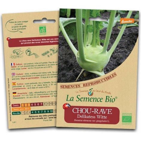 Graines bio Chou-rave Delikatess Witte - La Semence Bio