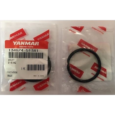 Yanmar 134674-51381 – O-Ring – Ø45 mm