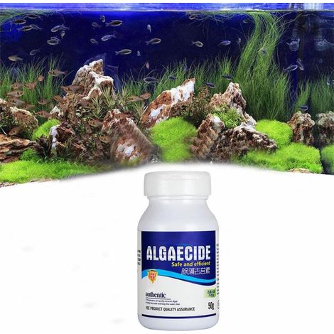 50g Alguicide Aquarium Anti-Algues Nettoyant Eau Bassin Poisson Décoration