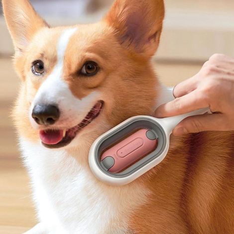 Brosse chien avec réservoir d'eau,épilateur 4 en 1 animaux compagnie avec Convient aux cheveux courts, pour masser et enlever les poils lâches-Rose (1/5)