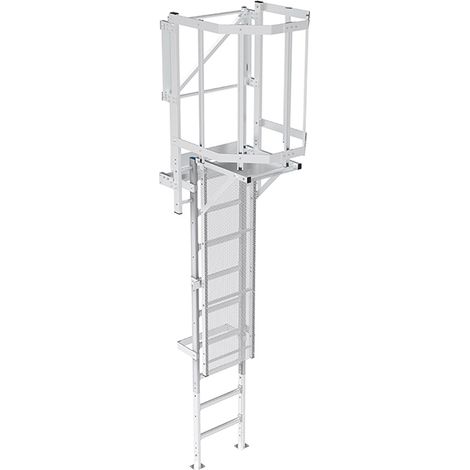 Echelle à crinoline de 2.80m à 3.10m avec porte de condamnation - CS31-CSPC