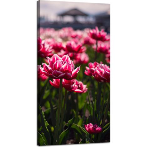 Impression sur toile Botanique Tulipes Fleurs 40x80 cm Bouquet de fleurs