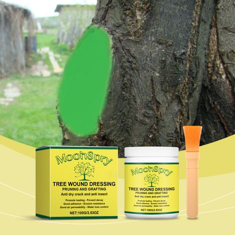 Agent cicatrisant à base d'arbre, bandage à base d'arbre Hualitong, pommade cicatrisante pour application et stimulation de la croissance des racines -- 100 g + pinceau (1/5)