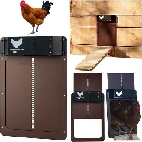 Porte De Poulailler Automatique, Automatic Chicken Coop Door with Light Sensing Étanche D'ouverture du Soir Et du Matin (1/4)