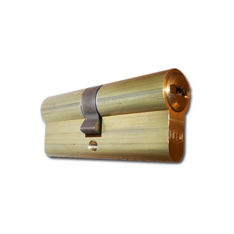Cylindre de sécurité Europerf 2000S2 38x38 LP R15 double embrayage