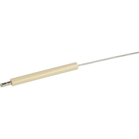 Electrode d'ionisation