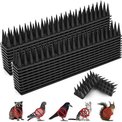 Pinces de haute qualit pour oiseaux et pigeons 12 pointes pour (1/5)
