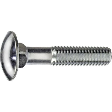 Schlossschrauben M4 x 30 mm, 12 Stück Schlossschrauben (1/3)
