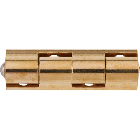 Paumelle de meuble 6001 gauche 50x40mm épaisseur 1,5mm - MONIN - 431310