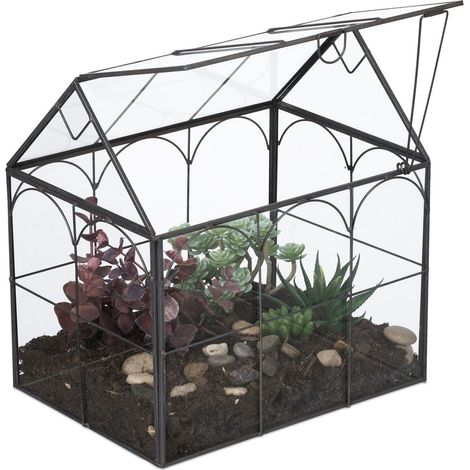 Terrario de cristal con forma de casa para plantas de interior