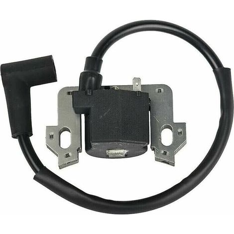 Module de bobine d'allumage compatible pour moteurs Gcv135, Gcv160, Gcv190, Gsv160 – pièce de rechange pour fixation standard, sans marque, conforme aux spécifications d'origine (1/4)