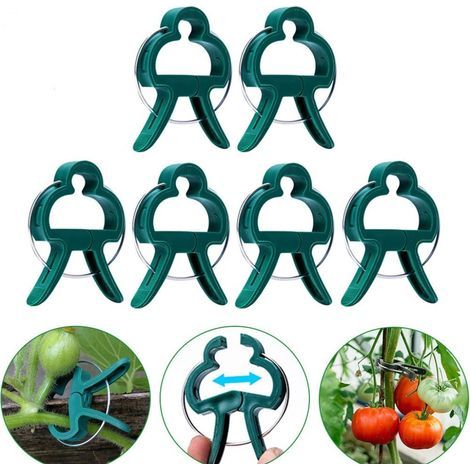 Packung mit 20 Pflanzenclips: Große Pflanzenclips, geeignet für den Garten – wiederverwendbare Stützclips, speziell entwickelt zur Unterstützung der Stängel von Kletterpflanzen wie Blumen, L (1/5)