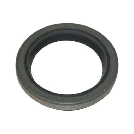 Anello di tenuta albero BRIGGS ET STRATTON 294606S (1/2)