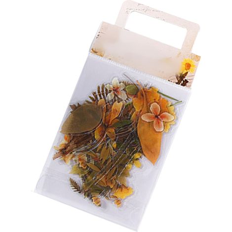 Pack d'autocollants Mu Ran PET - Série Nature Sauvage des Profondeurs - 40 autocollants pour carnets et journaux de plantes DIY - Champs Dorés (1/5)