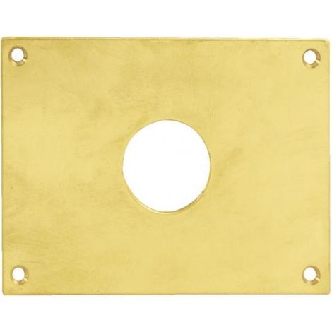 Plaque de propreté trou rond 36 laiton poli 90x65mm - HERACLES - 251752-TR36