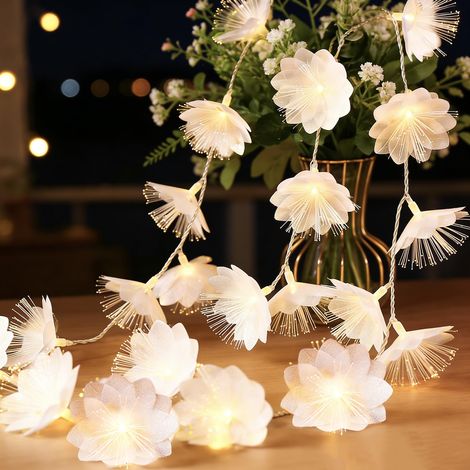 Guirlande lumineuse à 10 LED - 2 m - Fonctionne avec piles - Blanc chaud - En fibre de verre - Pour décoration de printemps, mariage, jardin, terrasse, fête, intérieur et extérieur (1/5)