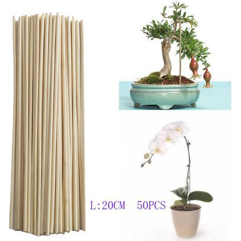 Barre de bambou barre de support de croissance des plantes petit bonsaï branche de vigne DIY outil de jardinage 3mm 20cm 50pcs (1/4)
