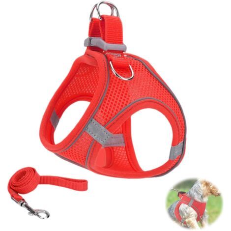 Ensemble harnais et laisse réglables pour chat, en maille douce et respirante, réfléchissant, anti-fugue et animal domestique, rouge, taille M (1/5)