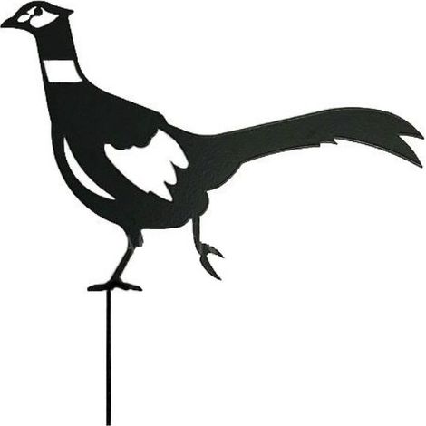 Pheasant - Steel - W41.9 x H33 cm - Bare Metal/Ready to Rust