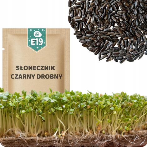 51Seed E19 SEMI DI GERMOGLI - GIRASOLE NERO PICCOLO 20G