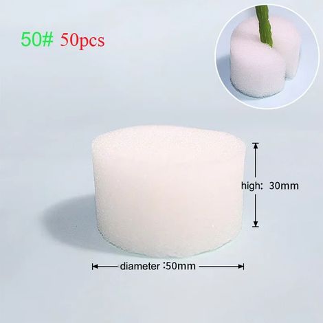 (NO50 50 pièces) Outils de jardinage hydroponique hors-sol, système de culture de légumes en éponge plantée, collier de clonage, culture de plantes E2 (1/4)