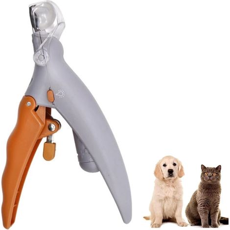 Coupe-ongles pour chiens et chats avec lumière LED, outils de coupe professionnels avec protection, salon de toilettage pour chiens et chats (1/5)