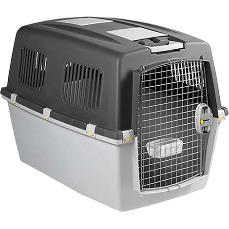 Zolux Cages Gulliver gabbia di trasporto per cani grigia robusta