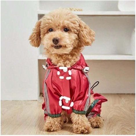 Cappotto impermeabile per cani di piccola taglia, impermeabile per animali domestici, impermeabile, antipioggia, per cani di piccola taglia, antiscivolo, rosso, S (1/4)