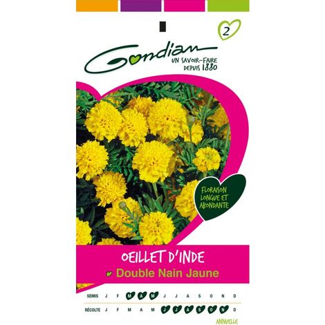 Gondian - œillet d'inde Double Nain Jaune (1/3)