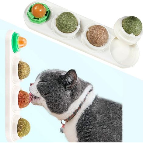 Jouet mural à lécher pour chat avec boules d'herbe à chat et friandises (1/5)