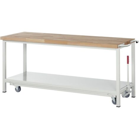 Etabli Rau avec châssis abaissable modèle 8000 L 2000 x P 700 x H 880mm (1/5)