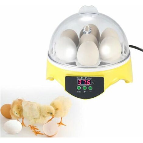 Mini couveuse pour œufs 15 15.5x15.5x15 cm d'incubation (1/3)