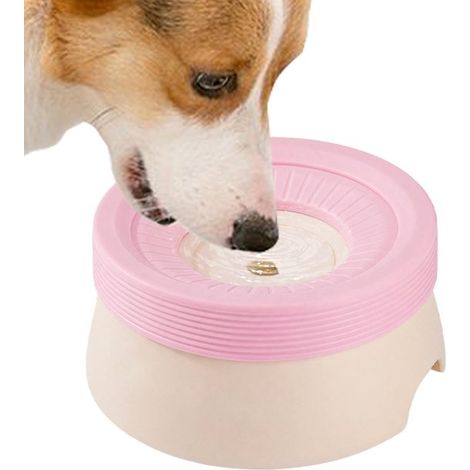 Gamelle pour chats et chiens 600 ml - Distributeur d'eau flottant et anti-fuite - Encourage une alimentation lente - blanc (1/5)