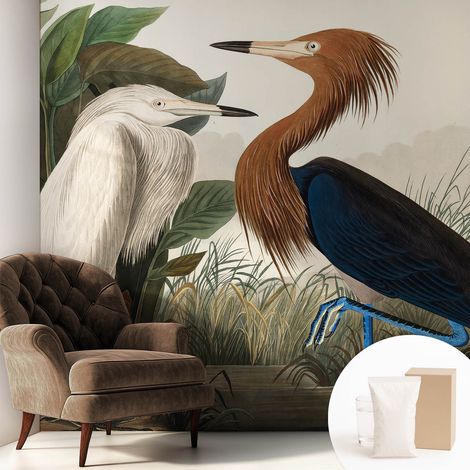 Tapete Vliestapete mit Kleber modern Wohnzimmer - Wanddeko Schlafzimmer - Tapete mit Motiv Vögel in Pflanzen 250x250 cm (1/5)