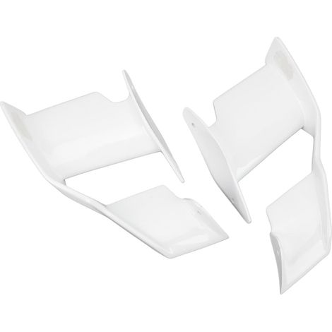 Aileron Latéral de Moto, Ailerons de Carénage avec Matériau ABS, stabilité Améliorée sur S1000R M1000R 2021 à 2023, Compatible pour (1/5)