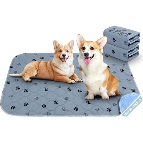 Ecleanfy - Tapis propreté lavable et réutilisable. Design antidérapant, absorption rapide. Économique et écologique. (1/5)