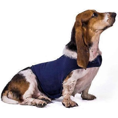 Combinaison de récupération post-opératoire pour chiens et chats, T-shirt anti-léchage avec protection pour la plaie abdominale (1/4)
