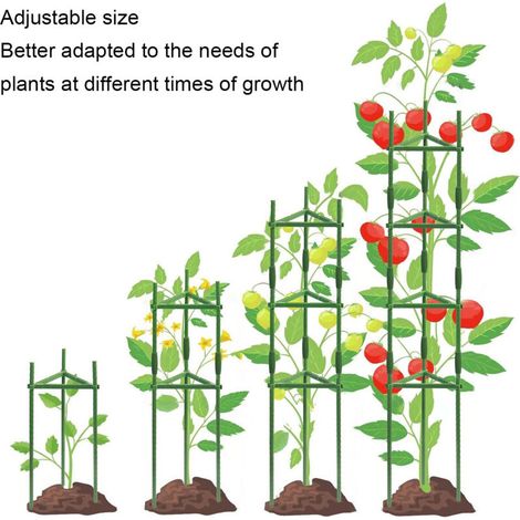Cage de Support 3Pièces pour Tomates - Treillis Jardinière Léger Triangle en Acier 80cm (1/4)
