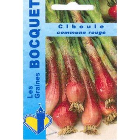 Ciboule rouge le sachet de 600 graines (1,5g) (1/2)