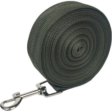 Longe pour Chien (10m ), Laisse de Dressage Chien avec Poignée Longe Chien Longue Sangle en Nylon Mains Libre pour Petits à Grands Chiens Animal de Compagnie Promenade Jogging (1/5)