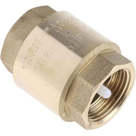 Clapet antiretour en Laiton RS PRO BSPP 1" ( Prix pour 1 ) (1/3)