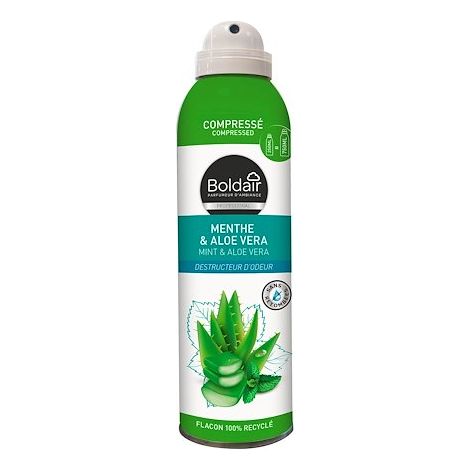 Destructeur d'odeurs Boldair Menthe & Aloe vera - Aérosol 250 ml (1/5)