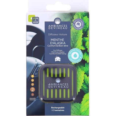 DEVINEAU diffuseur Menthe