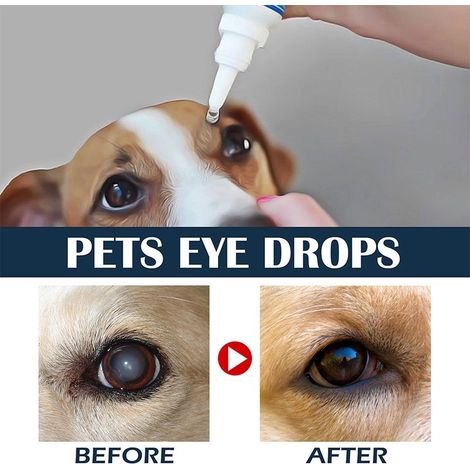 Augentropfen für Haustiere (Katzen und Hunde): Reinigung und Pflege der Augen zur Linderung von Augenbeschwerden. -- DE (1/4)