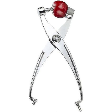 Dénoyauteur à cerises, 18 cm, alliage d'aluminium, argent (1/5)