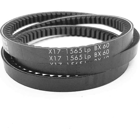 Courroie type trapézoïdale crantée BX60