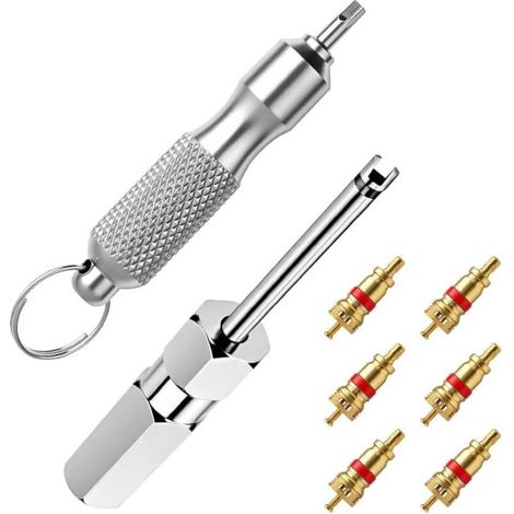 Outil de Retrait Noyau Valve Pneu, Extracteur Tige en Acier Inoxydable avec 6 Noyaux, pour Réparation Pneus Voiture, Camion et Vélo - (1/5)