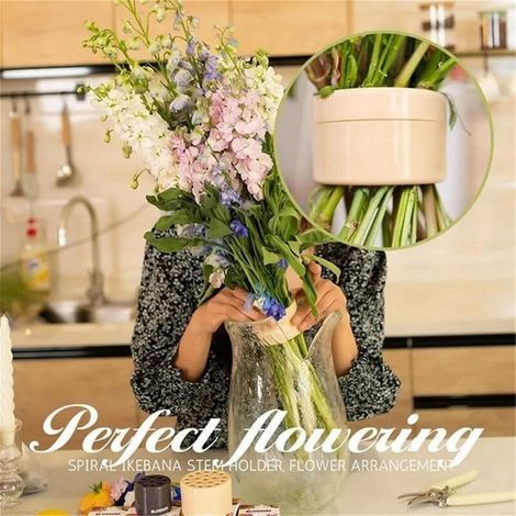 Spiral Stem Holder - ABS Flower Arrangement Support for Vases - Ikebana Style Floral Fixing Tool - 1 Piece (1/5)